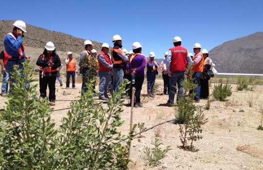 FOTO-1-Sust-central-540x350